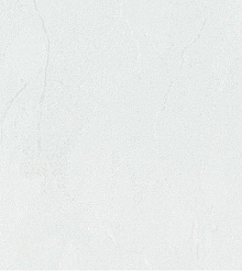 Рулонные обои для стен Bernardo Bartalucci Gaga  84284-22