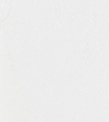 Обои под старые стены Bernardo Bartalucci Gaga  84284-16