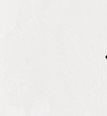 Рулонные обои для стен Bernardo Bartalucci Gaga  84284-21